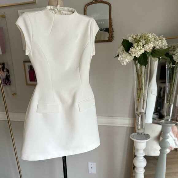 The Ultimate Muse Cap Sleeve Mini Dress - Picture 5 of 5